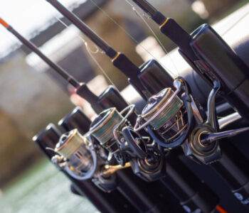 pêche au leurre Vendée